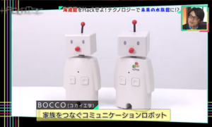 ハッカテンMedie 写真